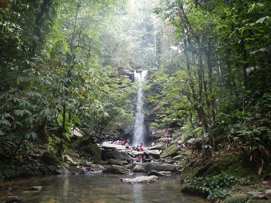 Avocat Waterfall