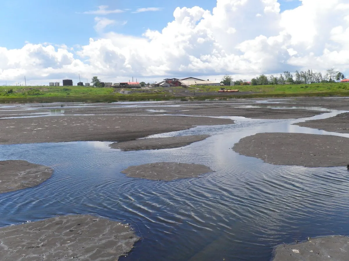 Pitch lake